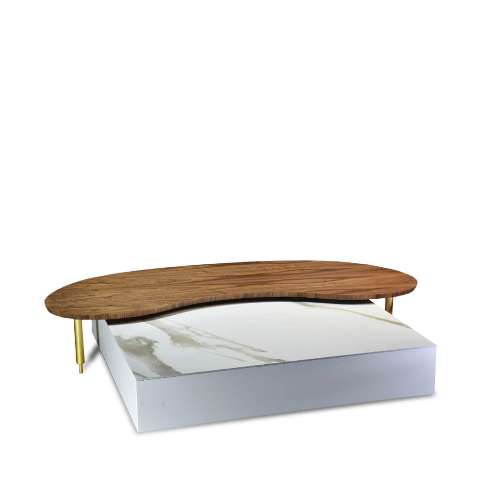 mesa-de-centro-lema-lamina-natural-sala-estar-alto-padrão-organica-iki2 Lema orgânica